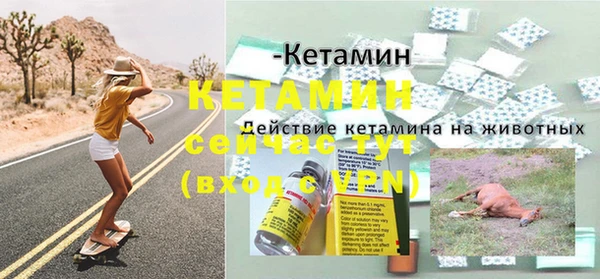 стафф Краснотурьинск